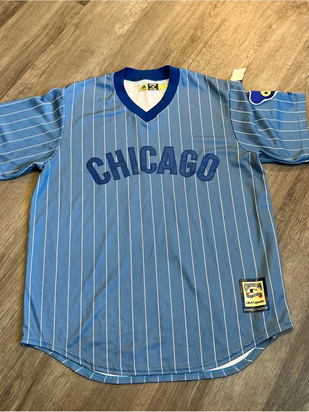Chicago Pinstripe V-Neck Baseball Jersey - Light Blue L